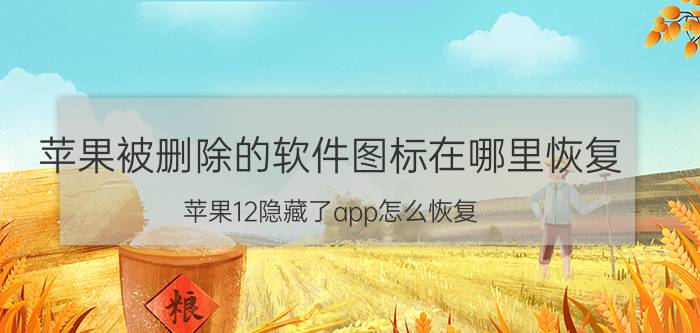 苹果被删除的软件图标在哪里恢复 苹果12隐藏了app怎么恢复？